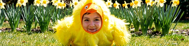 A face peeking out from a bright yellow Easter chick costume with an orange beak headband and fluffy feathered body, posed in a green garden with blooming daffodils in the background. Bright midday sunlight falls from directly overhead, creating crisp highlights on the yellow feathers and a short shadow on the grass beneath. Style: outdoor holiday portrait. Mood: playful and sunny.